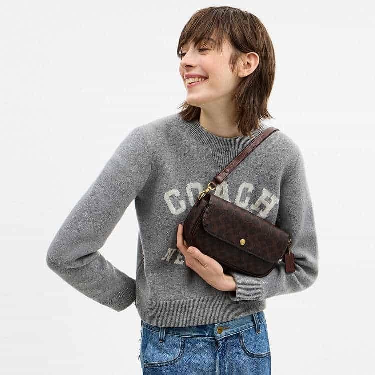 Brook Flap Chain Bag