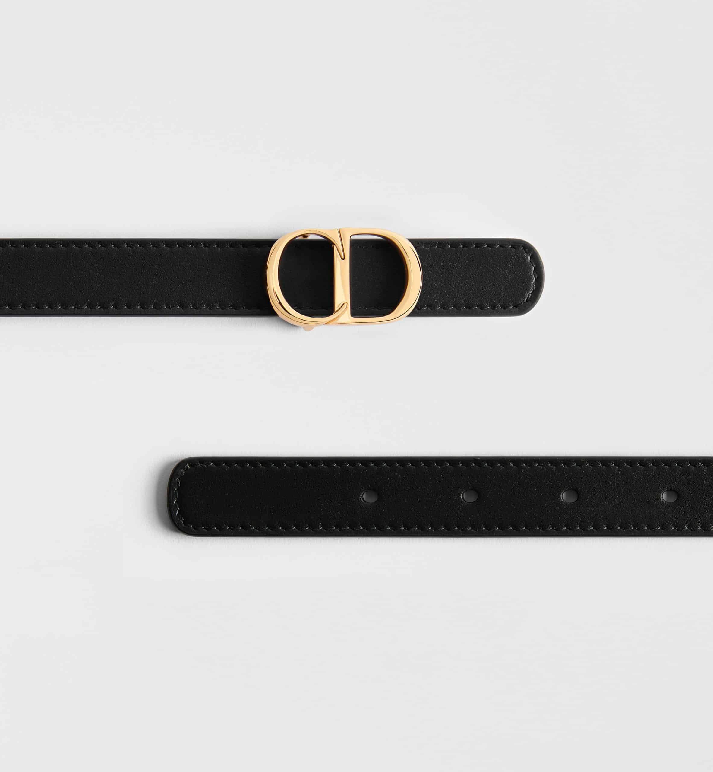 Reversible CD Icon Belt