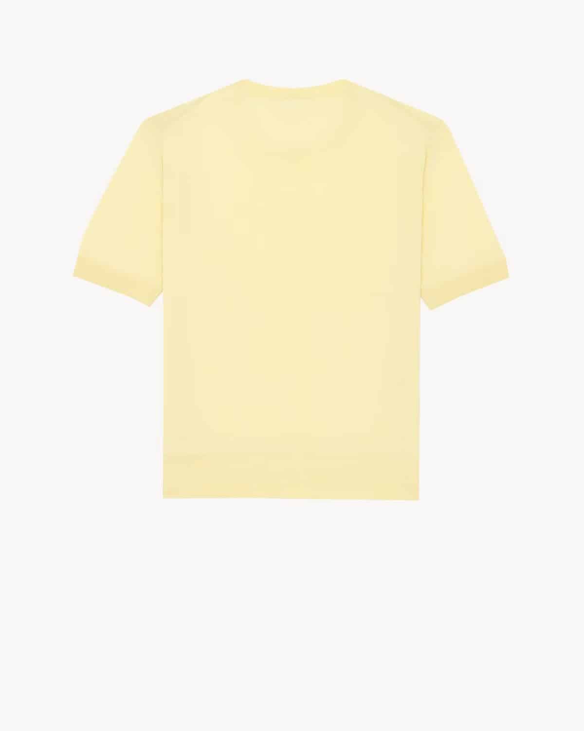 CREWNECK T-SHIRT IN CASHMERE, WOOL, AND SILK