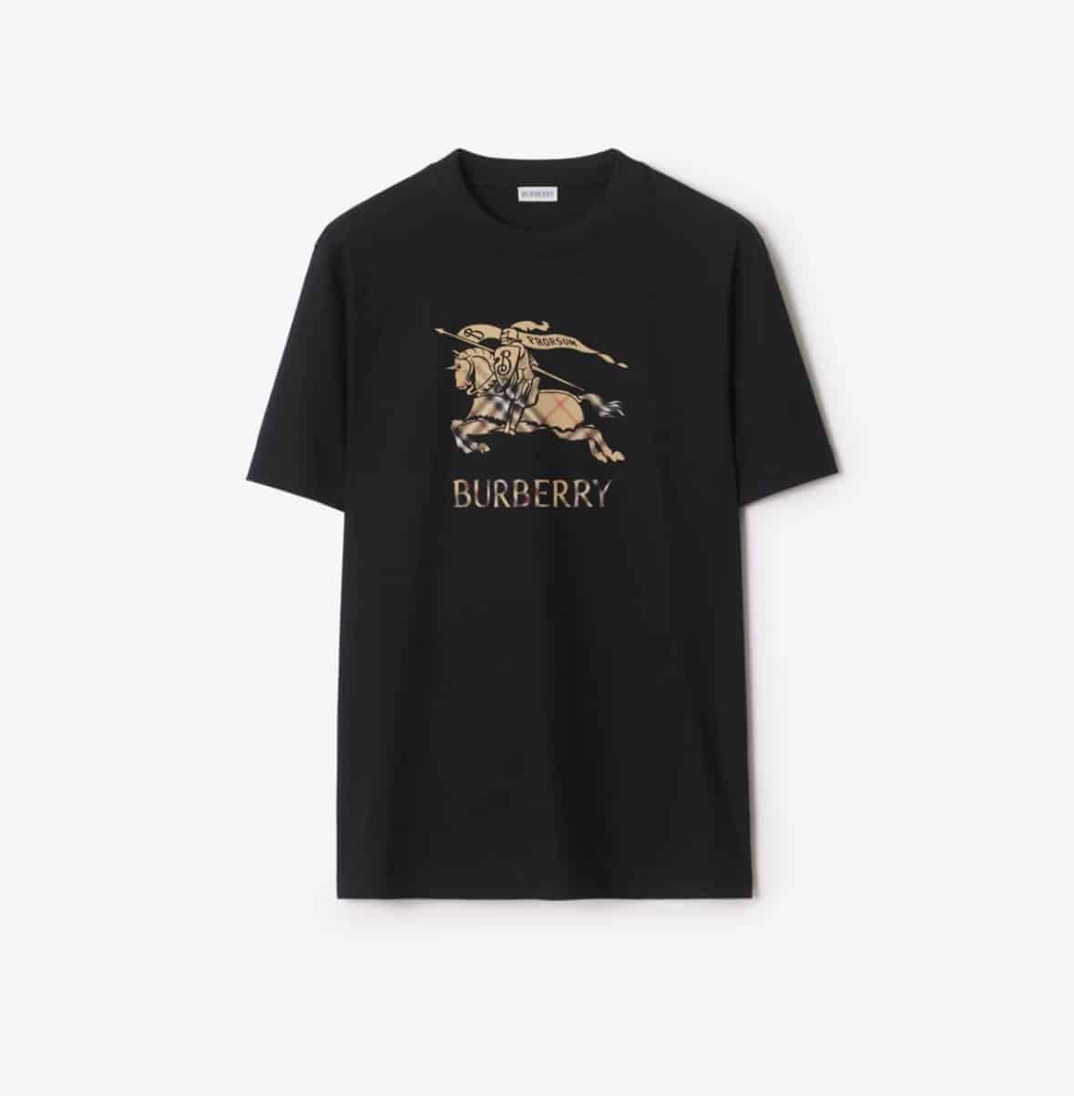 EKD Ombré Cotton T-shirt