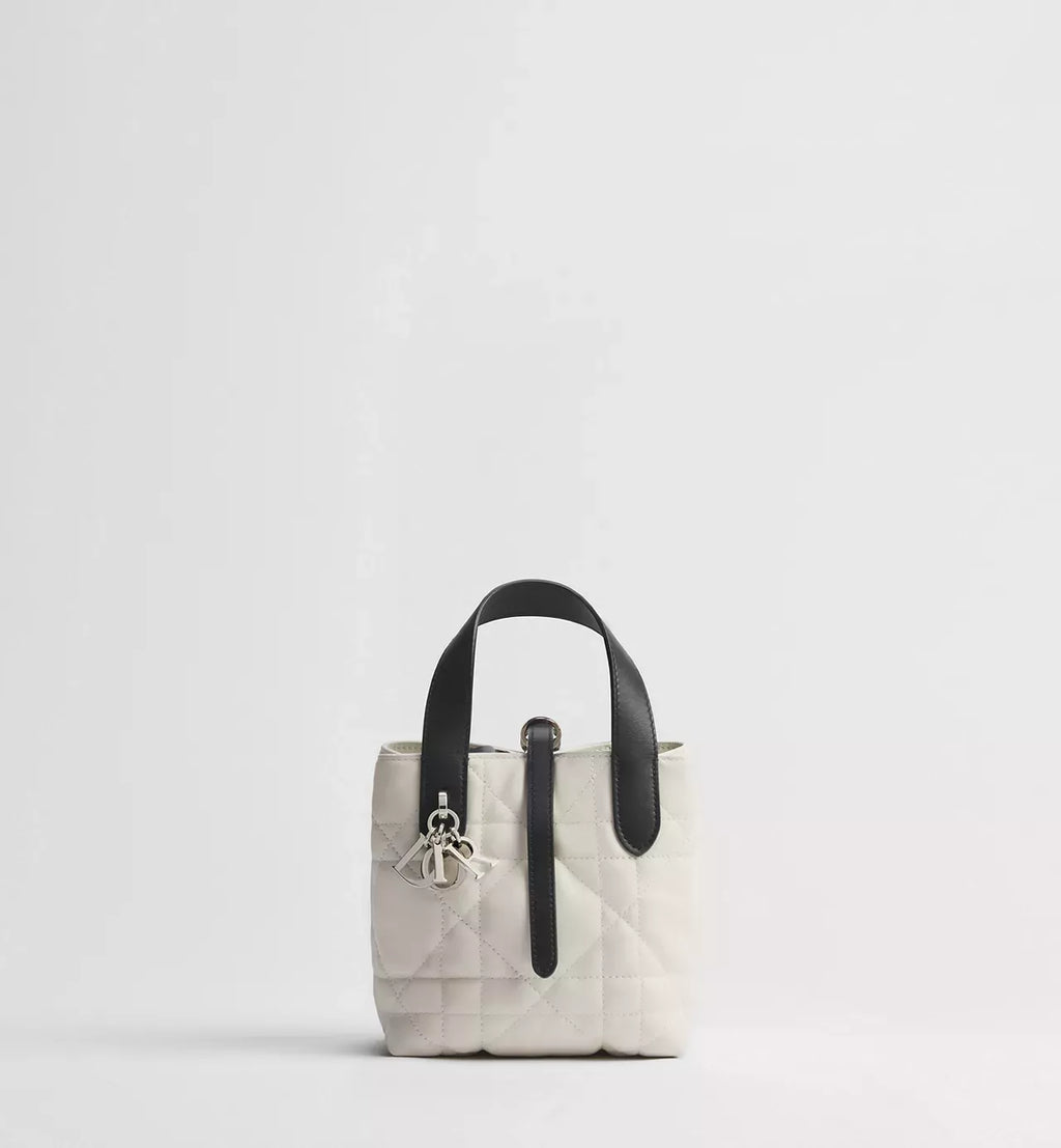 Dior Toujours Vertical Nano Tote Bag