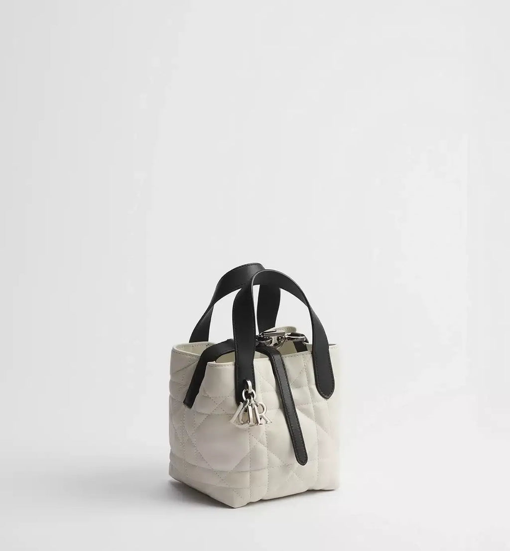 Dior Toujours Vertical Nano Tote Bag