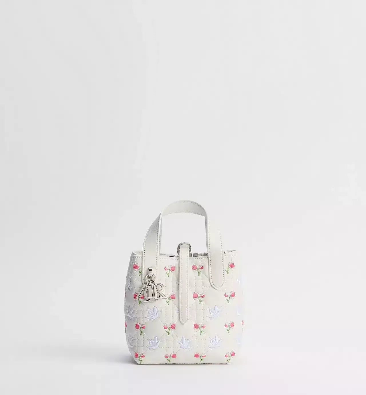 Dioramour Dior Toujours Vertical Nano Tote Bag