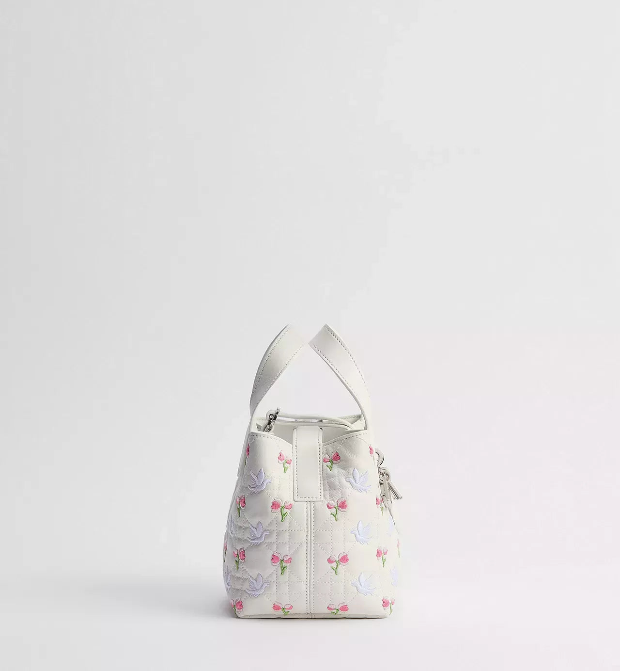 Dioramour Dior Toujours Vertical Nano Tote Bag