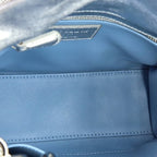 Lady Dior Bag Metallic Cannage Quilt Leather