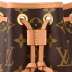 Nano Noé