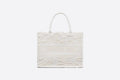 Christian Dior Small Dior Book Tote