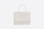 Christian Dior Small Dior Book Tote