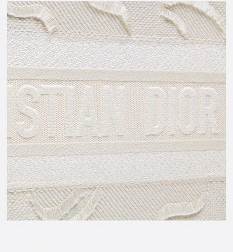 Christian Dior Small Dior Book Tote