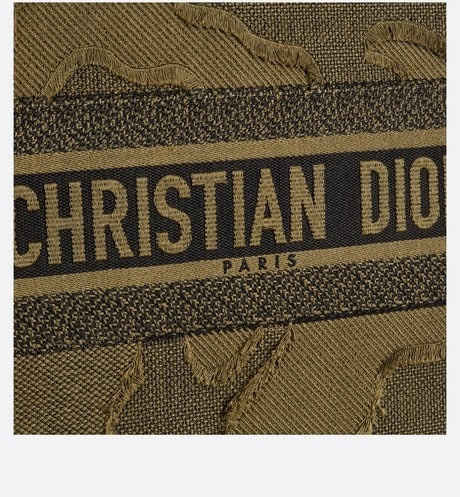 Christian Dior Book Tote