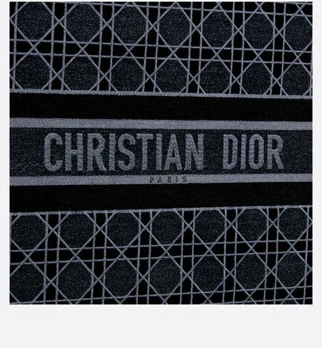 Christian Dior Book Tote
