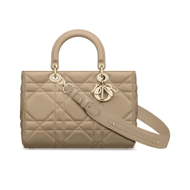 Medium Lady D-Sire My ABCDior Bag