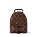 Palm Springs Mini